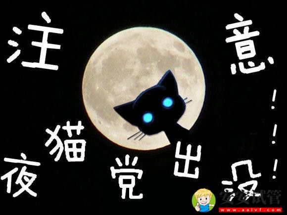 “夜猫子”比“早起鸟”更易患糖尿病