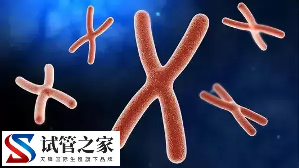 三代试管能筛查哪些遗传病(图2)