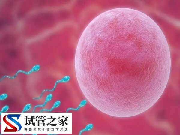 取卵后醋酸西曲瑞克忘打一天有没有影响(图1)