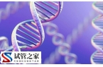 试管移植3cc囊胚成功率高不高