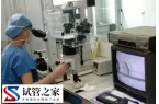 三代试管能筛查哪些遗传病